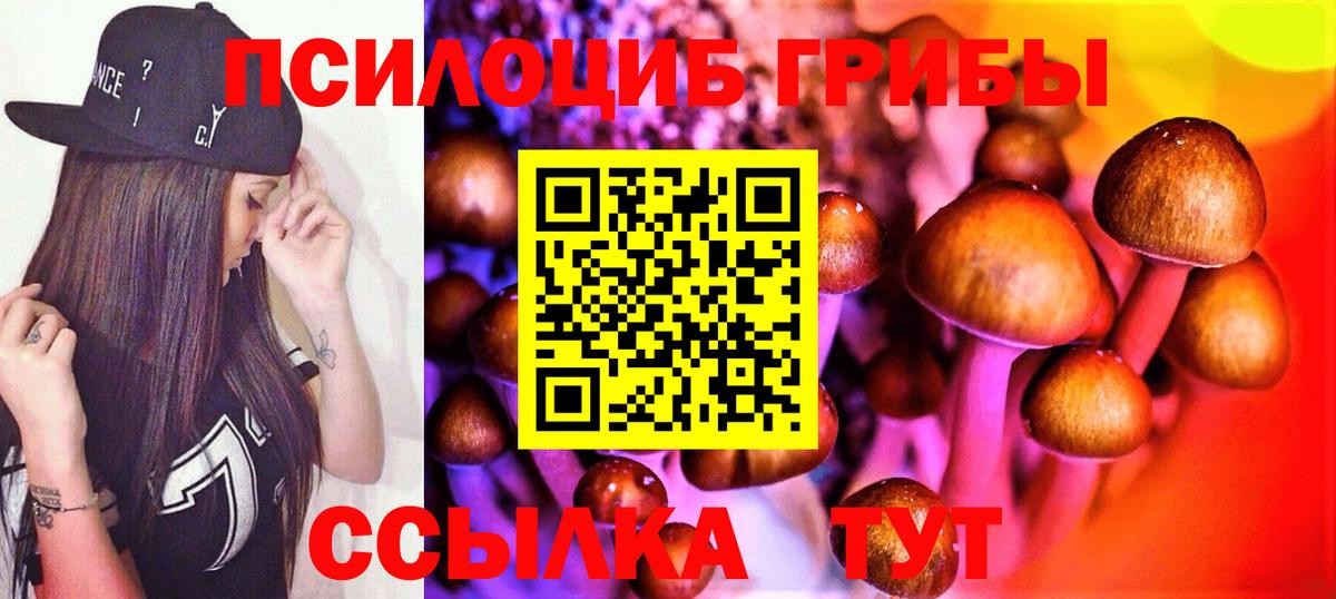 Галлюциногенные грибы Cubensis Клин